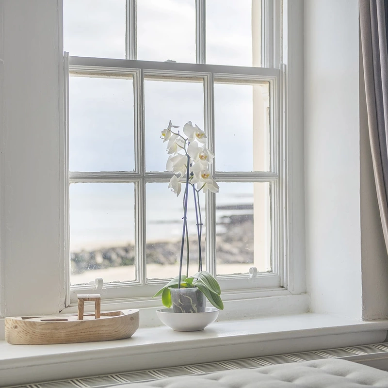 An orchid in a window sill with sea view