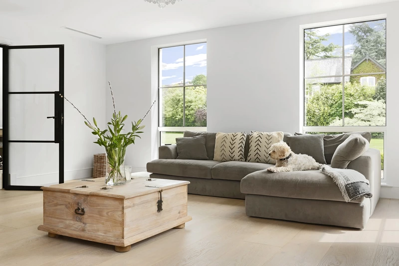 Property Photograph of a lounge with a dog sat on the sofa